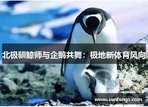 北极驯鲸师与企鹅共舞：极地新体育风向